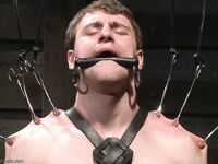 Bound Gods Scott Harbor, Christian Wilde