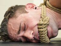 Kink Men Quin Quire, Roman Todd