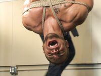 Bound Gods Trenton Ducati, Brock Avery, Connor Maguire, Drake Tyler, Jessie Colt