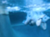 Bound Gods Dante Colle, Asher Day