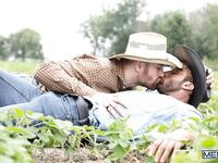 Men Com Dom King, Olivier Robert