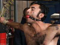 Bound in Public Spencer Reed, Gianni Luca