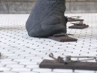 Bound Gods Jessie Colter, Rikk York