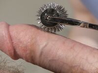 Bound Gods Rob Yaeger, Seamus OReilly