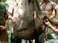 Bound in Public Logan Stevens, Christian Wilde, Josh West